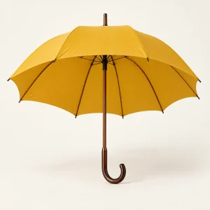 Classic Long Handle Umbrella — AI-generated concept image