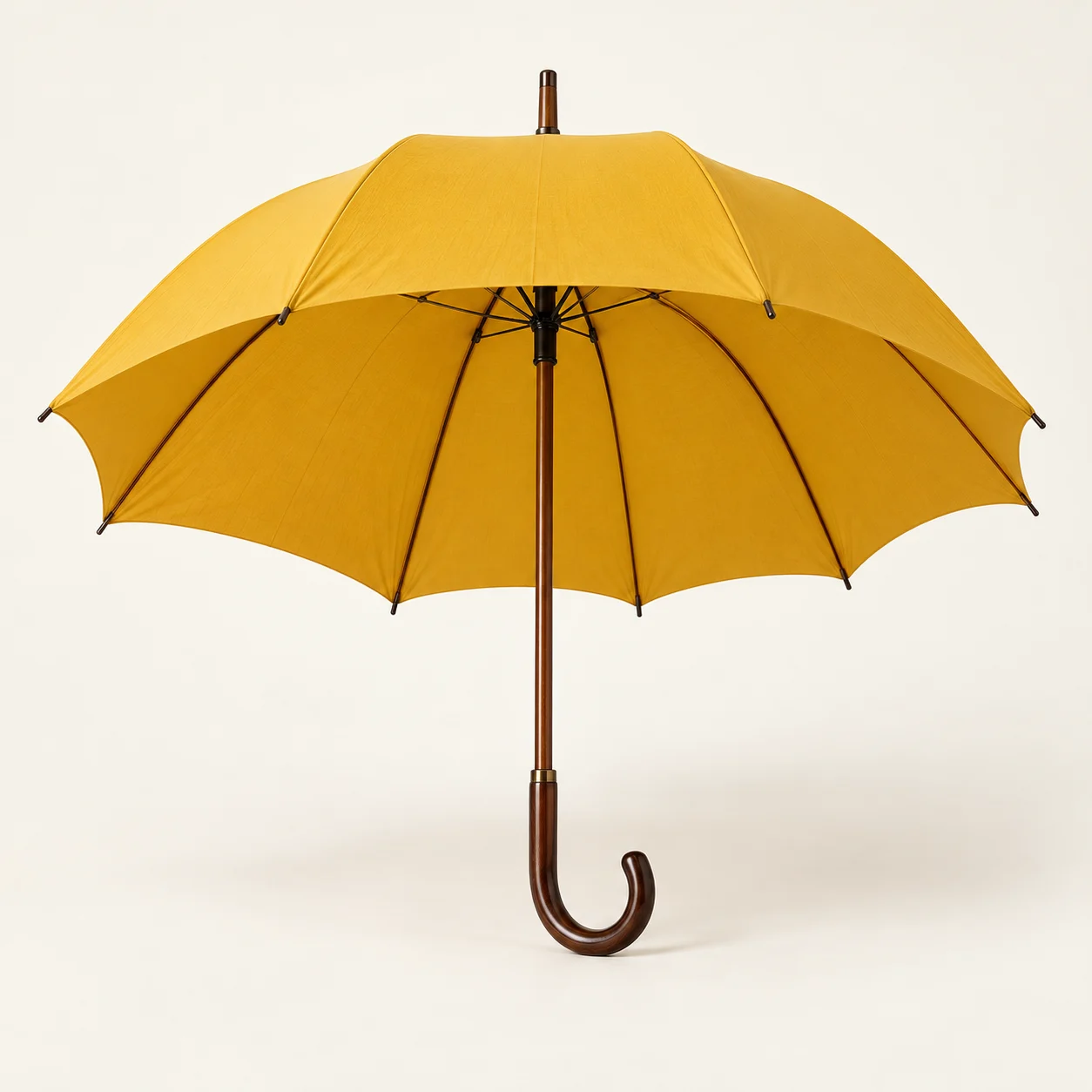 Umbrellas concept collection